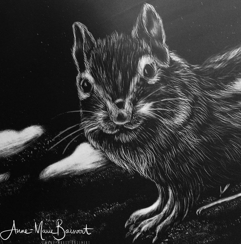 Le Scratchboard ou l’art du Scratch