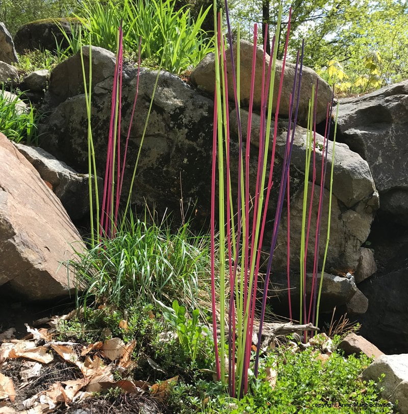 Projet jardinage d’été!