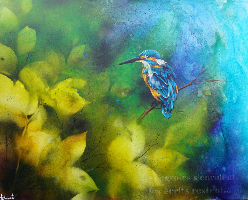 Collection au-delà des couleurs